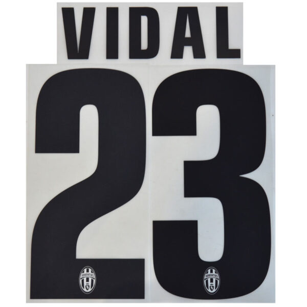 J 2013-14 HOME Vidal-23