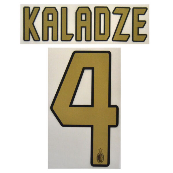 ACM 2004-07 HOME Kaladze-4