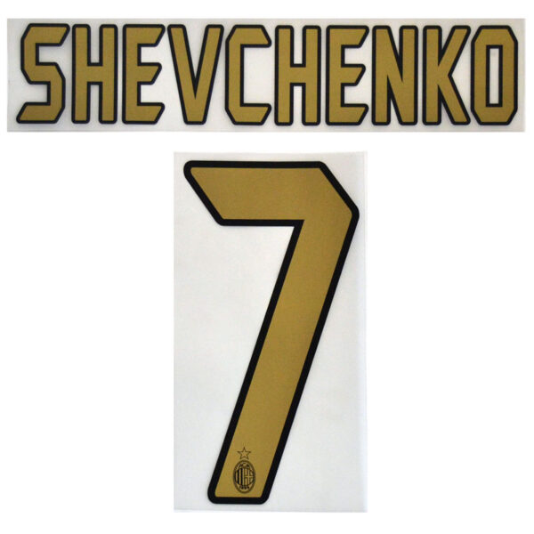 ACM 2004-07 HOME Shevchenko-7